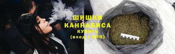 первитин Богородицк