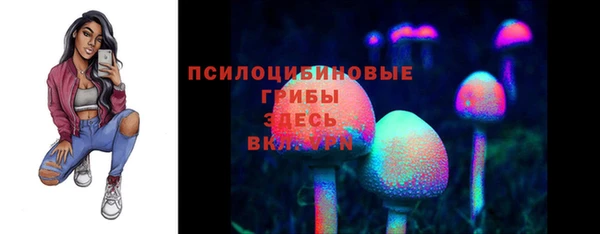 первитин Богородицк