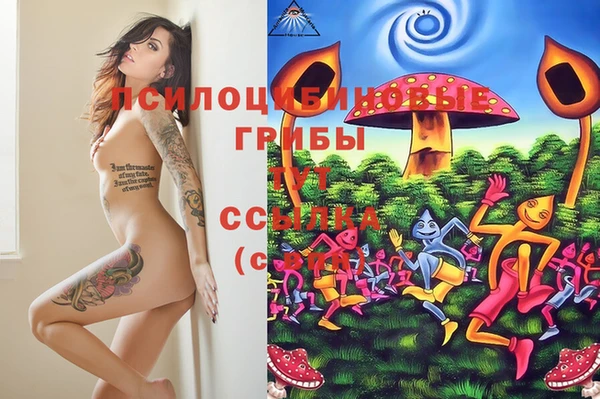мет Богданович