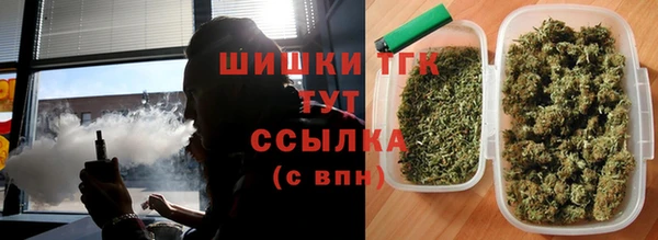 первитин Богородицк
